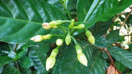 《水星潮》登陆Steam 卡牌玩法肉鸽RPG