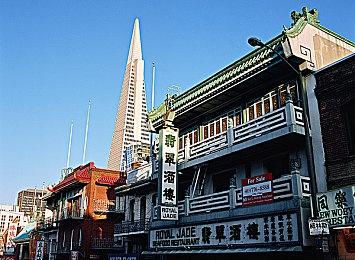 《我的同事不对劲》Steam版将发售 攻略美女同事