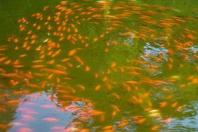 总结：微软收购动视暴雪后获得的每一个游戏IP